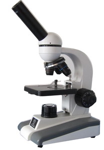 �W(xu��)���@΢�R�r��