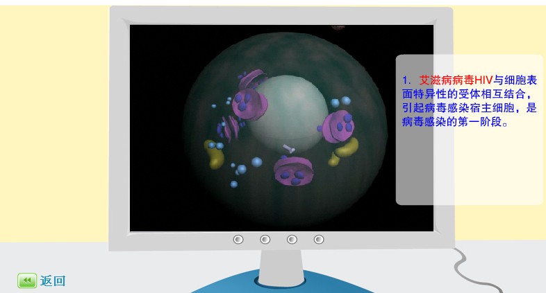 �@΢�R�^�y(c��)���̲���