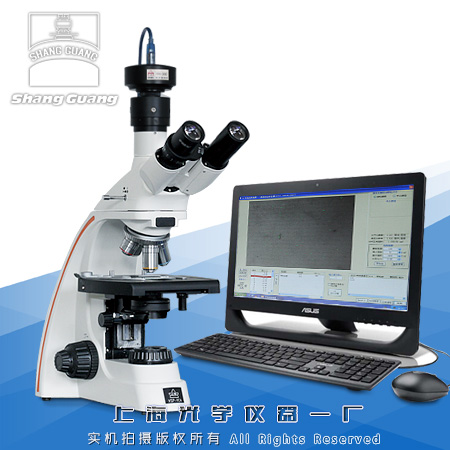 �@΢���۵ȼ�(j��)����ϵ�y(t��ng)YP-2