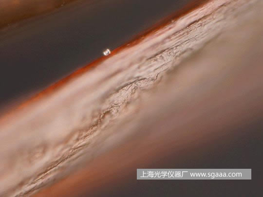 �@΢�R�¿����C��Ⱦ��p�����^�l(f��)