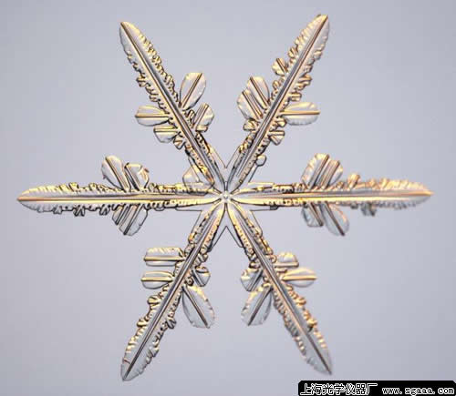 �@΢�R�µ�ѩ����3